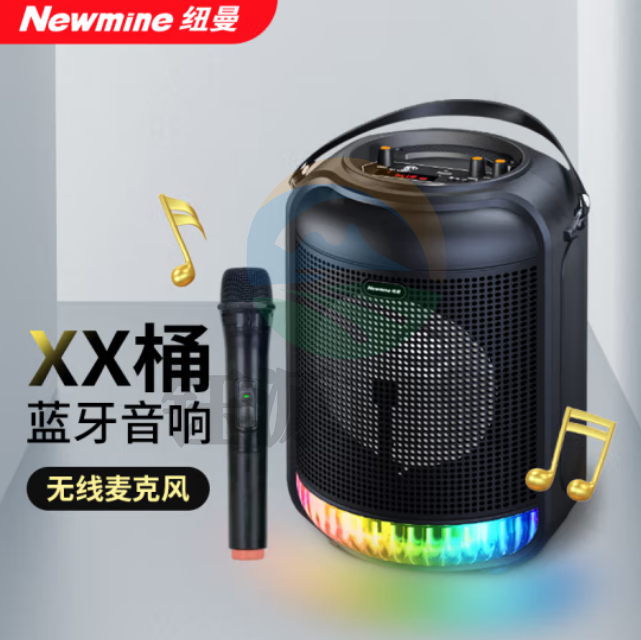 纽曼（Newmine）K22音响蓝牙音箱 便携户外音响 单支无线话筒