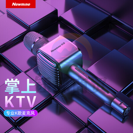 纽曼（Newmine）MC53 蓝牙无线麦克风 话筒音响音箱一体 银色