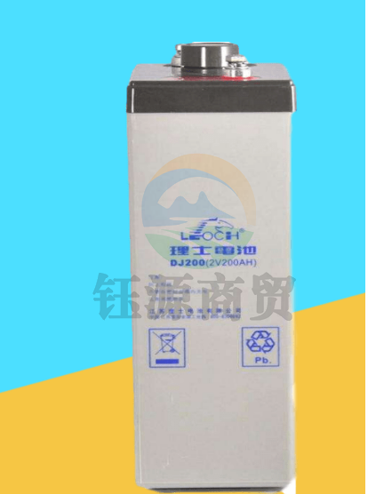 理士 电池组  2V200AH DJ200