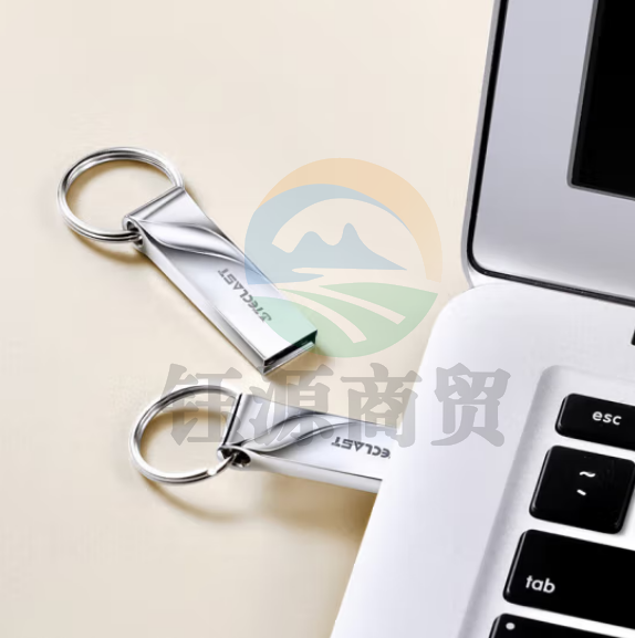 台电（TECLAST）8GB USB2.0 金属U盘 办公移动U盘 招标投标小U盘 防水抗摔迷你型便携车载电脑高速读写优盘CF8GBNEX-S2