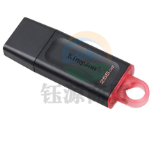 金士顿(Kingston)DTX/256GB USB3.2 Gen 1 U盘
