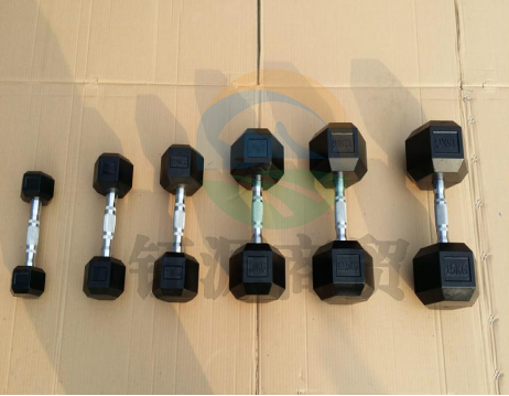 益动未来 高端PU钢举棱形哑铃