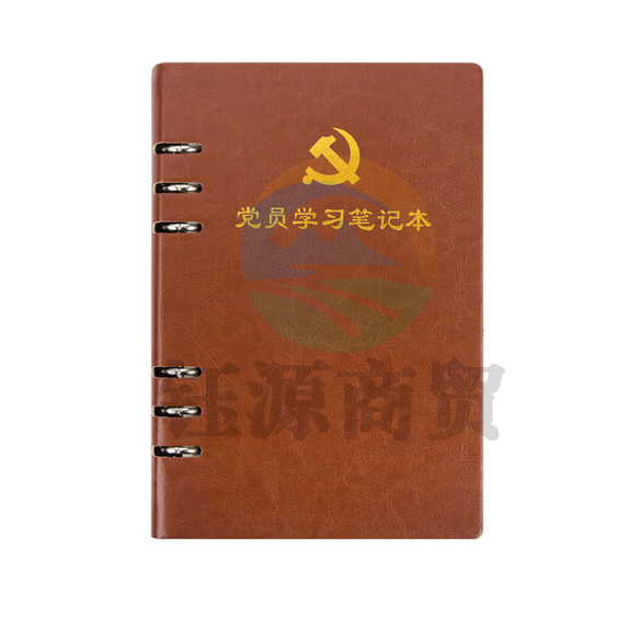 活页式党员学习笔记本A5 党员会议记录本党员本（棕色）