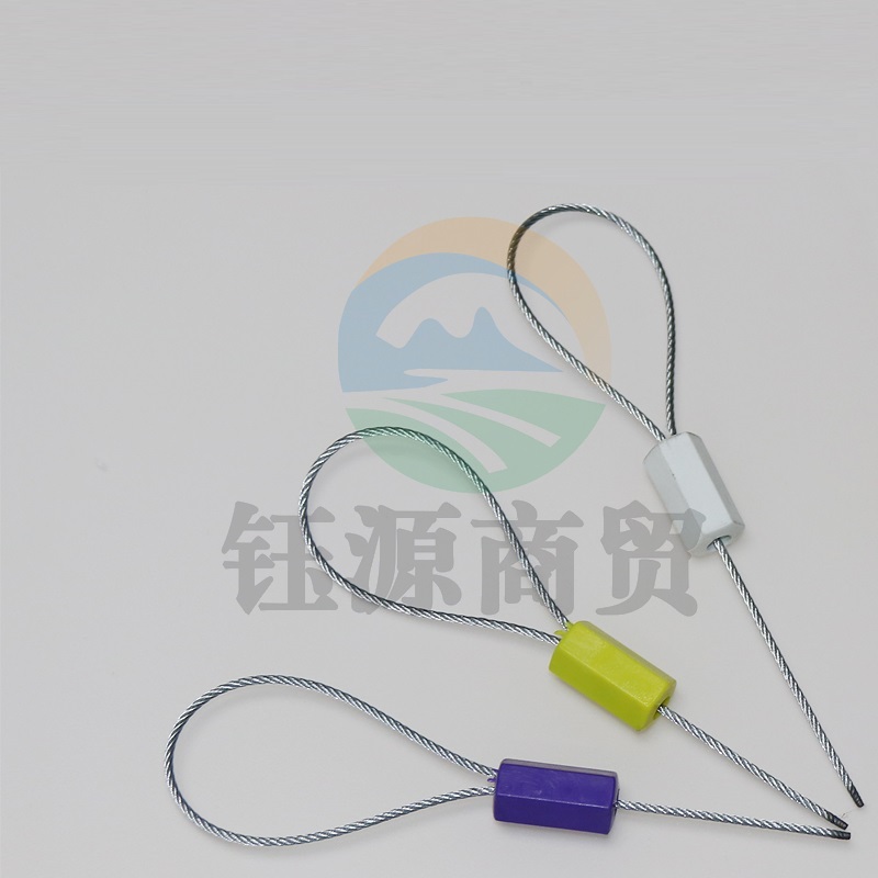 一次性钢丝封条 带防盗封铅锁扣