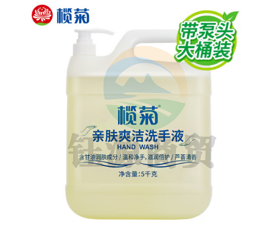 榄菊 洗手液大桶 带泵头 芦荟清香5kg