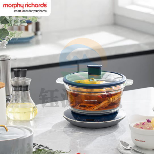 摩飞电器(Morphyrichards)多用途锅 家用电炖锅 养生锅电炖盅炖汤电煮锅煮粥锅 可预约定时 MR9081 轻奢蓝