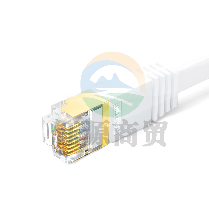 山泽（SAMZHE）CAT-703A七类扁平网线白色（镀金头）3米