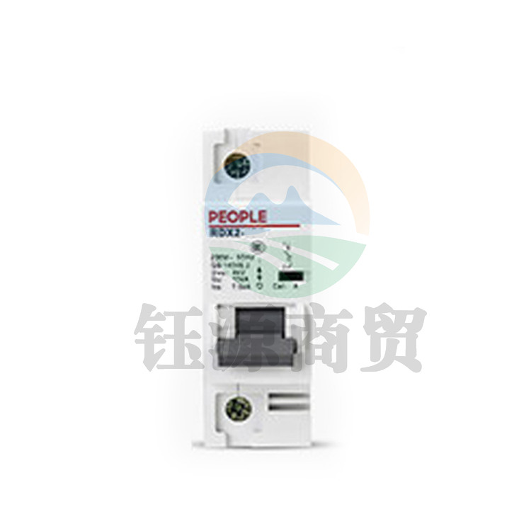 人民电器 断路器 RDX2-100（80A/1P）空气开关