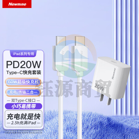纽曼（Newmine）CH-618 iPad充电器套装PD快充用于苹果平板ipadAir4Pro11/12.9/2020款华为小米双头Type-c数据充电线 白