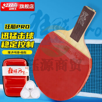红双喜狂飚龙PRO礼盒装国手狂飙金弓套胶成品兵乓拍HP01直拍乒乓球拍含拍套三星球