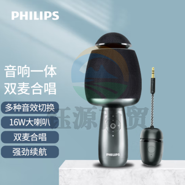 飞利浦（PHILIPS）DLM9319U无线麦克风话筒音响一体 蓝牙K歌宝电容麦 黑色