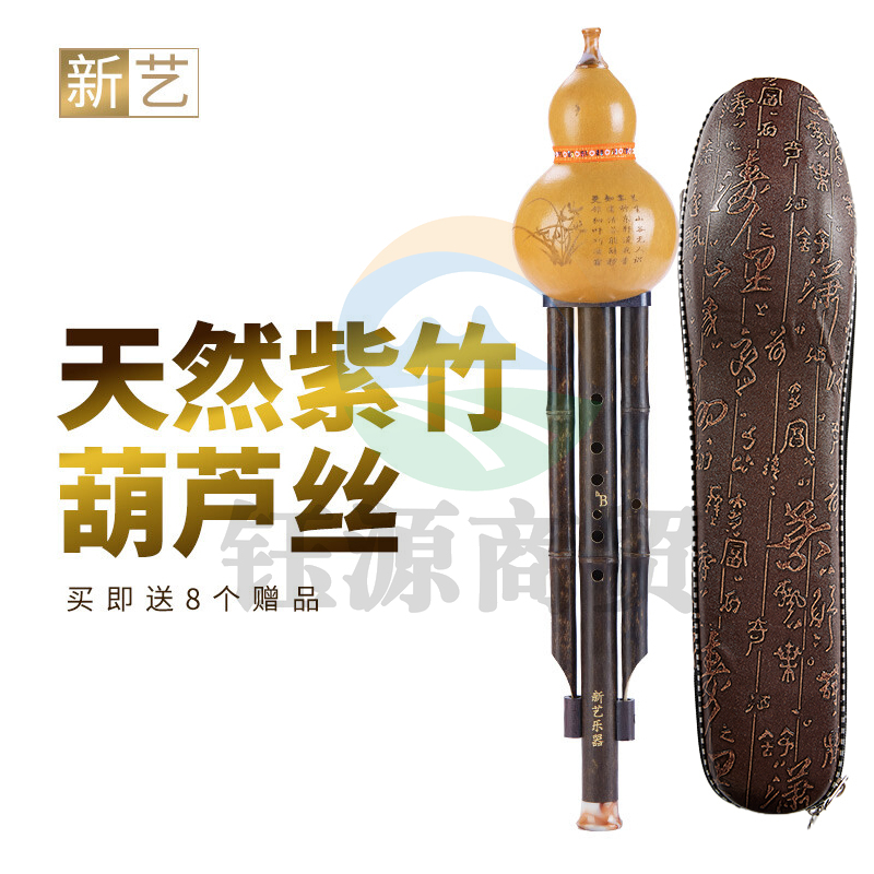 新艺(xinyi)紫竹葫芦丝乐器 专业演奏型降b调 初学双音紫竹天然葫芦