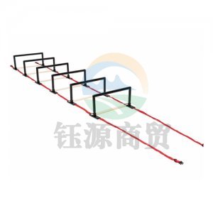世达 star SA360 足球训练跨栏小跨栏架体能训练跳栏 组合式跨栏