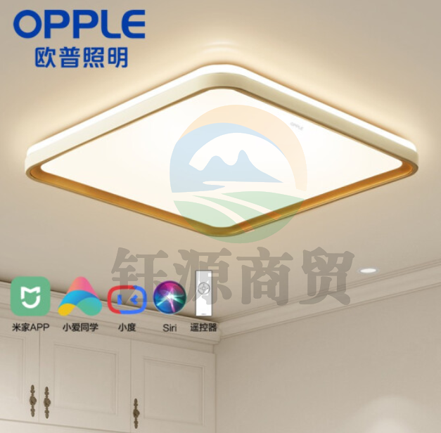 欧普照明（OPPLE）品见5050智能卧室灯LED吸顶灯AI语音米家APP控制灯具灯饰套餐 智能音箱/AI智控调光