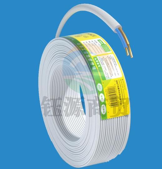 山泽(SAMZHE)M100B-2C 2芯单股纯铜电话线100米