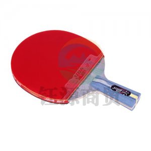 红双喜 DHS R4006C 四星碳素直拍乒乓球拍双面反胶快速进攻附拍套