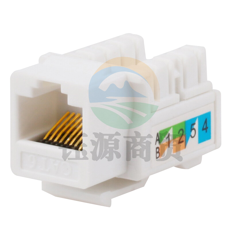 山泽（SAMZHE）WAN-06 六类网络模块 CAT6千兆网线插座面板模块 RJ45水晶头母座电脑网线镀金连接头 工程版