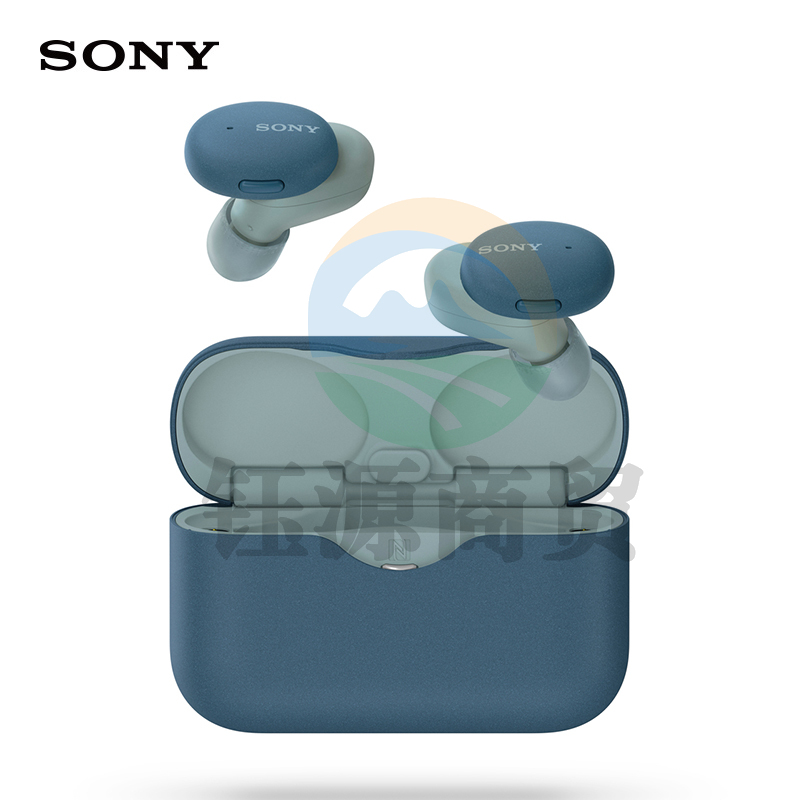 索尼（SONY）WF-H800真无线蓝牙立体声耳机 长久续航 苹果/安卓适用 蓝色