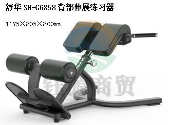 舒华SH-G6858背部伸展练习器
