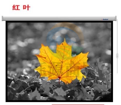 红叶（Redleaf） 120英寸 16:9 电动投影幕布 不含安装