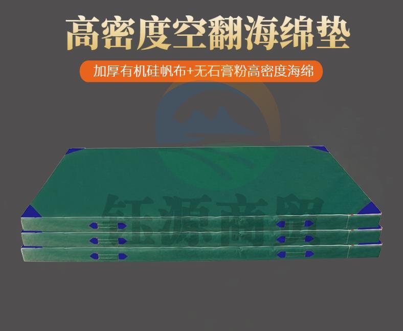 腾峙 空翻垫 跳高海绵垫体能训练垫子防护垫攀岩武术垫空翻垫体育训练练功垫体操垫 一片