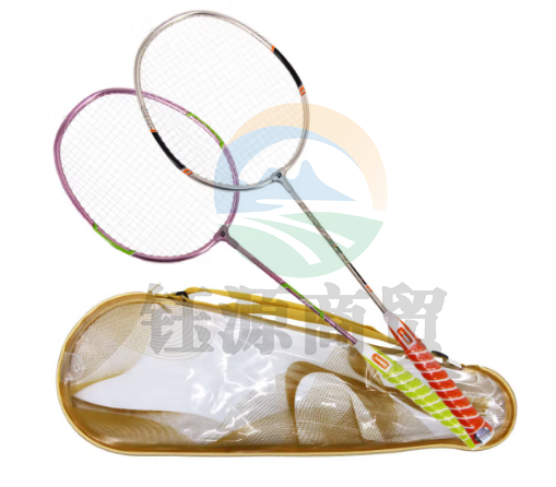 红双喜 DHS S510 羽毛球拍套装可水洗电化3.0五星双拍学生儿童球拍细手柄含尼龙球手胶拍包