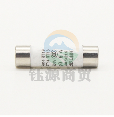 R014 10A 保险管 保险丝熔断丝 熔断器