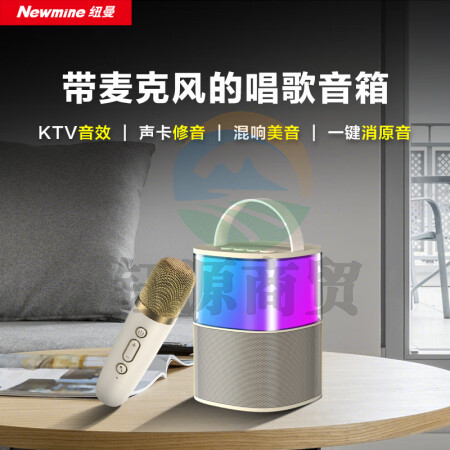 纽曼（Newmine）MC-600手提音响 无线蓝牙音箱 带麦克风