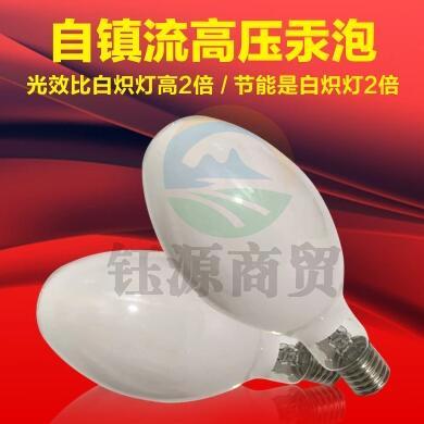 自镇流汞灯125W