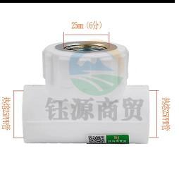 PPR内牙三通  6分 25mm