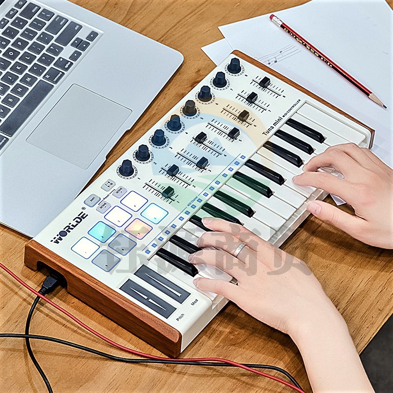worlde 25键便携midi键盘打击垫音乐编曲键盘电音迷笛控制器力度感应键盘 tuna mini EASYKEY.25黑色标准版
