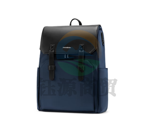 新秀丽（Samsonite）双肩电脑背包16英寸男士书包商务旅行包出差 NV0蓝色