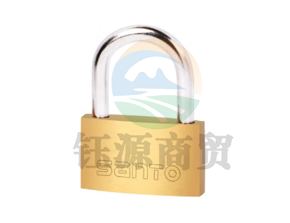 赛拓（SANTO) 铜挂锁小锁头 宿舍家用门锁 防锈防水锁 水电表箱锁 柜子锁箱包锁抽屉锁 30mm 0053