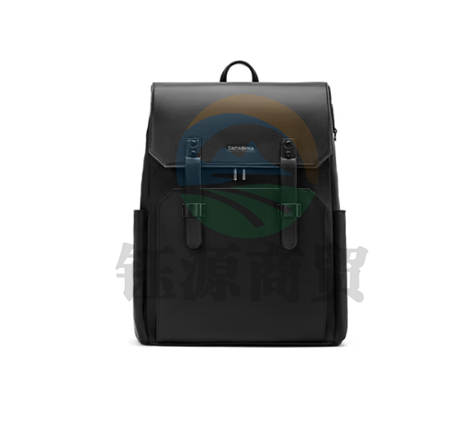 新秀丽（Samsonite）双肩电脑背包16英寸男士书包商务旅行包出差 NV0黑色