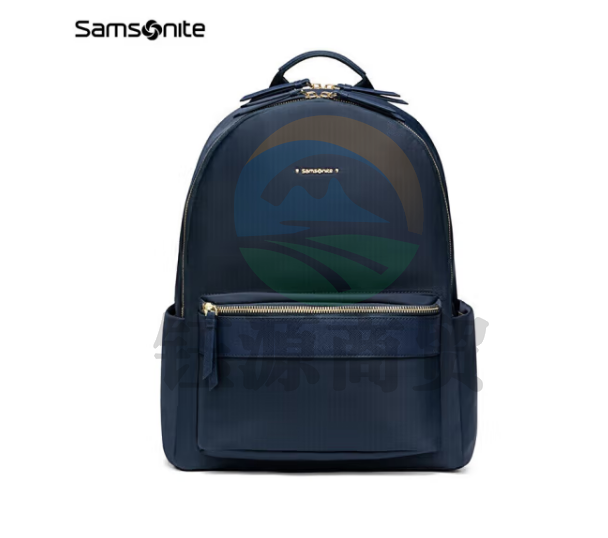 新秀丽（Samsonite）双肩包电脑包13英寸女背包学生书包通勤商务休闲旅行 TQ4 海军蓝