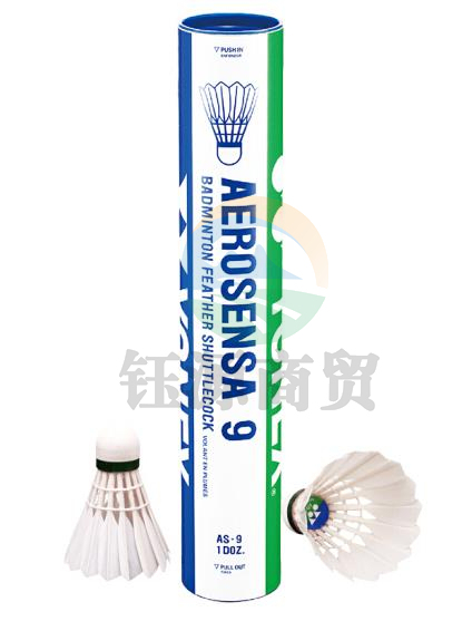 尤尼克斯（YONEX）羽毛球AS-9耐打王yy训练比赛鹅毛 12只装