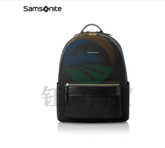 新秀丽（Samsonite）双肩包电脑包13英寸女背包学生书包通勤商务休闲旅行 TQ4 黑色