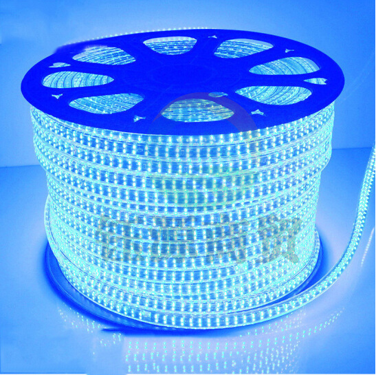 凝聚力LED灯带5730-80D 蓝光 双斜排7W 100米/盘（需另拍电源插头）