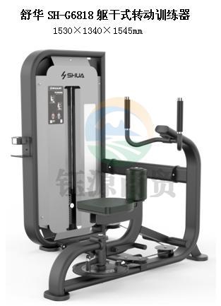 舒华SH-G6818躯干式转动训练器