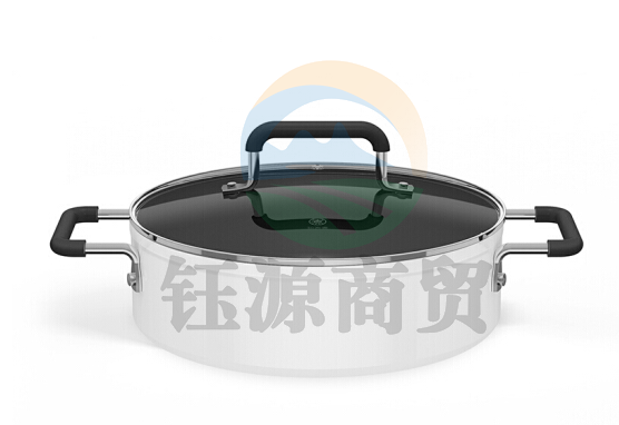 小米 知吾煮汤锅 米家定制 GJT02CM