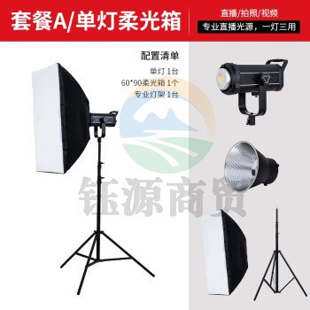 天影视通直播影视补光灯演播室球灯柔光灯 Y300D单灯 套餐二