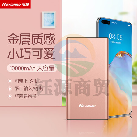 纽曼（Newmine ）M106移动电源10000毫安时 双USB输出Type-C输入金属充电宝 粉