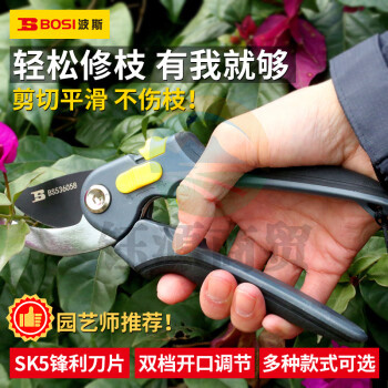 波斯（BOSI）推荐款修枝剪花剪树枝园林工具粗枝剪修果树省力剪刀 BS536058（8寸）
