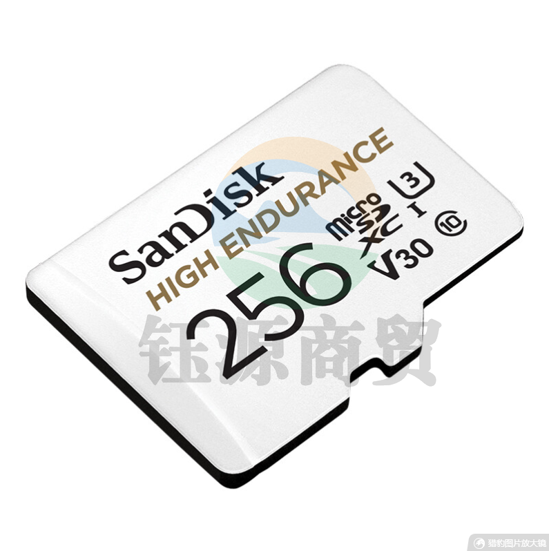 闪迪（SanDisk）256GB SDSQQNR-256G-ZN6IA  TF（MicroSD）存储卡 行车记录仪&安防监控专用内存卡 高度耐用 家庭监控