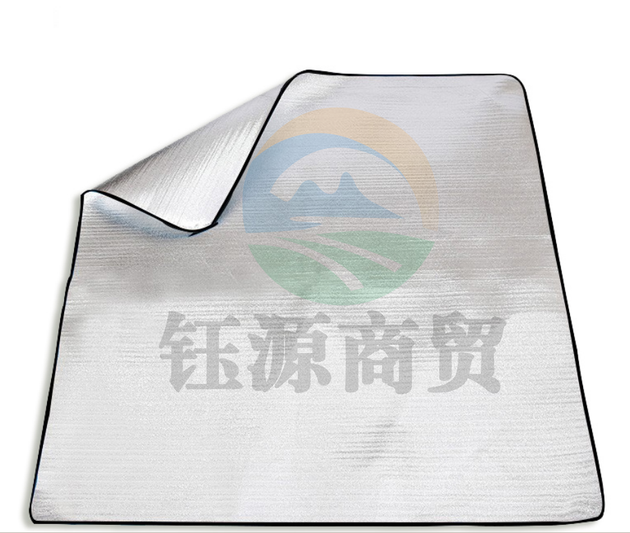 JAJALIN 防水防潮帐篷垫子 户外加厚野餐垫 双面铝膜爬行垫子 200*200cm（块）