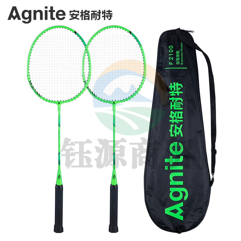 得力安格耐特F2100羽毛球拍 超轻铁合金T型训练 家庭户外锻炼双拍