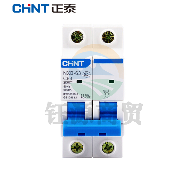 正泰（CHNT）NXB-63-2P-C63 家用空