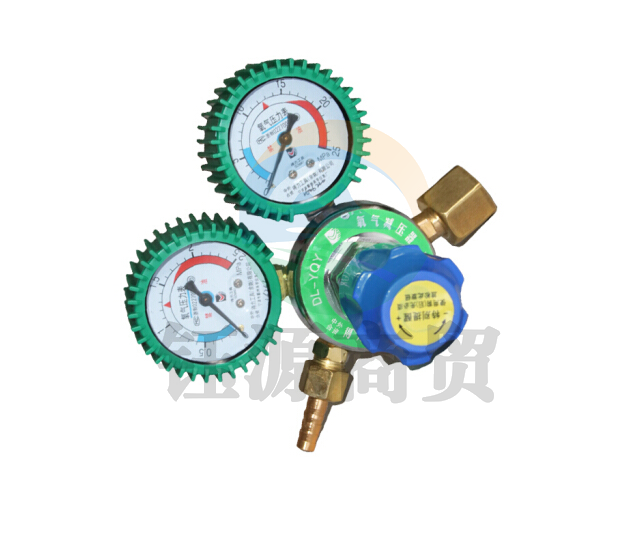 得力DL-YQY 氧气减压表带护套 5类型