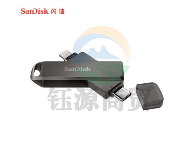 闪迪（SanDisk） U盘套装 手机U盘旋转设计手机电脑双接口密码保护 苹果MFI认证 Lightning 欢欣i享 64G 套装