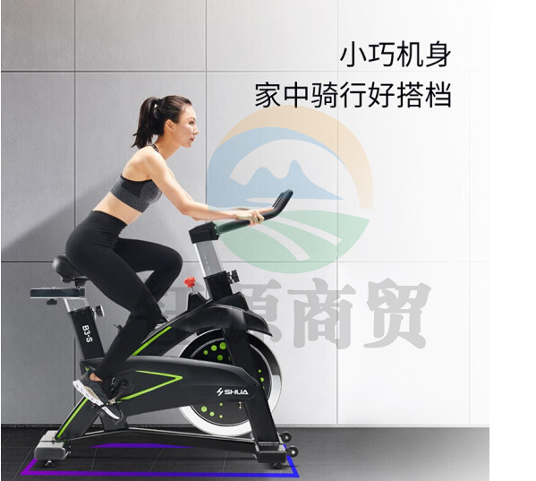 舒华 动感单车家用智能磁控静音运动健身器材 健身车室内自行车脚踏车B3100S
